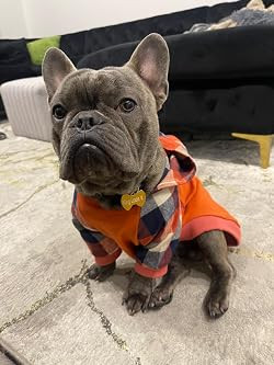 Fitwarm Dog Plaid Shirts Doggie Clothes Puppy Hoodies Cat Hooded T Shirts Pet Outfits Cotton Oran... | Amazon (US)