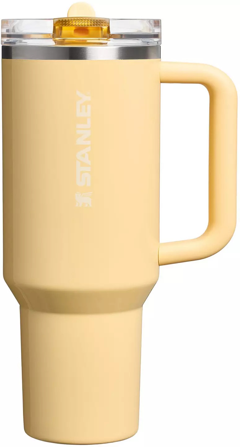 Stanley 40 oz. Quencher ProTour Flip Straw Tumbler - Oasis Collection | DICK'S Sporting Goods