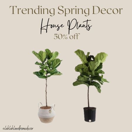 Check out these Tall beautiful in door house plants 50% off! lowes | lowes decor #lowes #loweshomedecor @loweshomeimprovement #loweshomeimprovement 

#LTKsalealert #LTKhome #LTKSeasonal