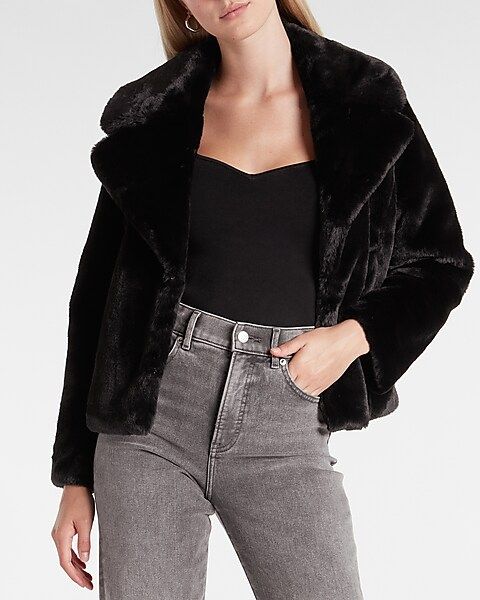 Collared Plush Faux Fur Coat | Express