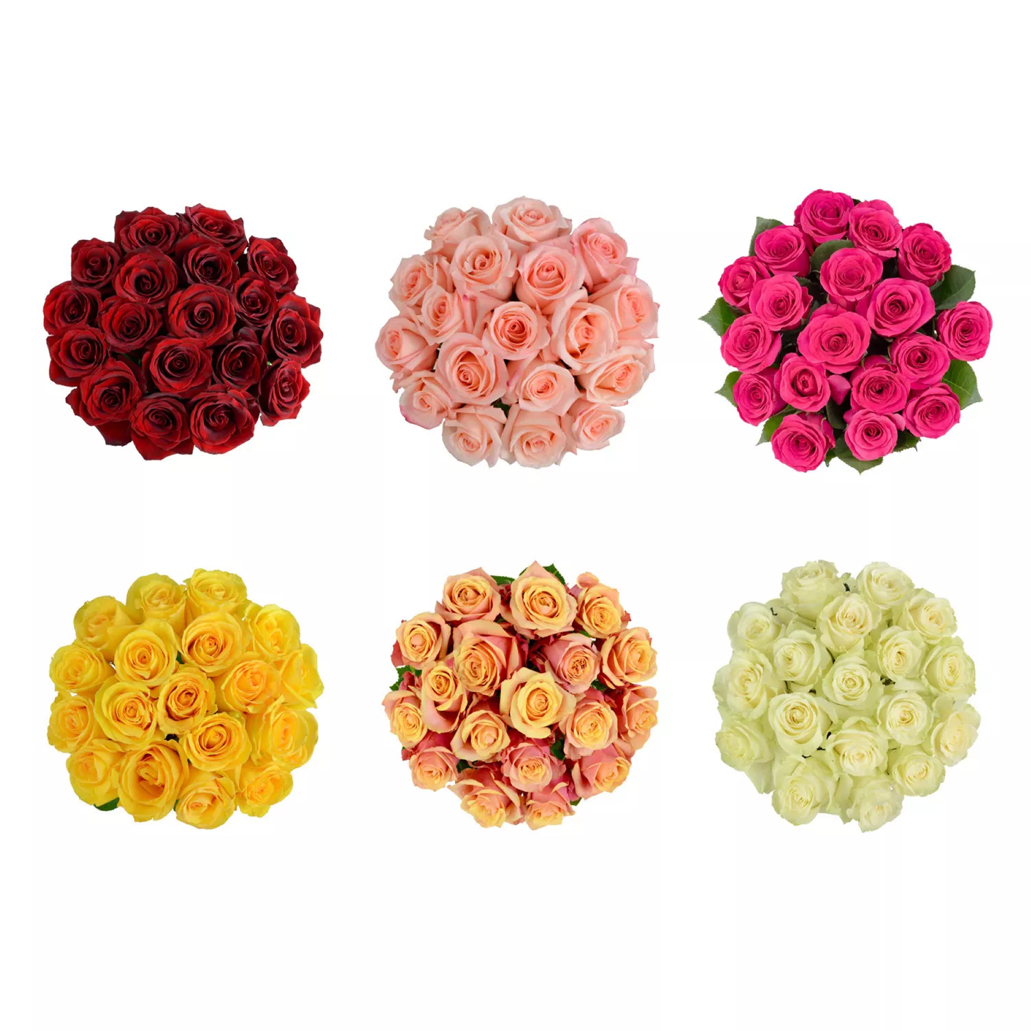 Member's Mark Premium Roses (Color and variety may vary, 18 stems) | Sam's Club