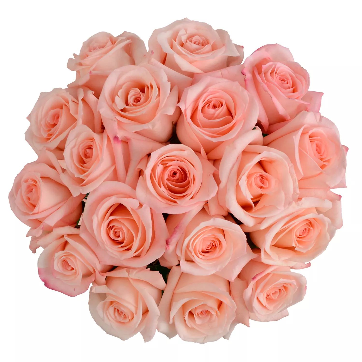 Member's Mark Premium Roses (Color and variety may vary, 18 stems) | Sam's Club