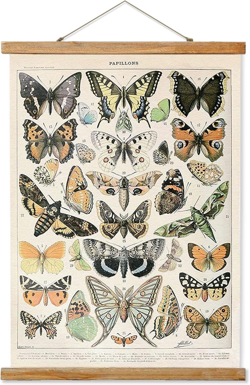 Ovfovy Vintage Butterflies Poster Hanger Frame, Retro Style of Wall Art Prints, Printed on Linen ... | Amazon (US)