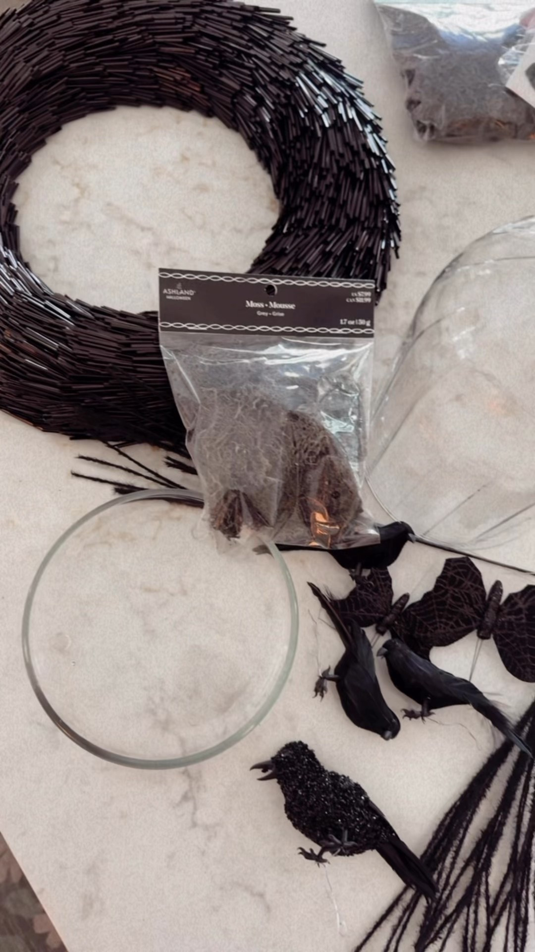 fun diy for spooky season from Aurelie Erickson 🖤🐦‍⬛✨

#LTKFindsUnder50 #LTKHome #LTKSeasonal