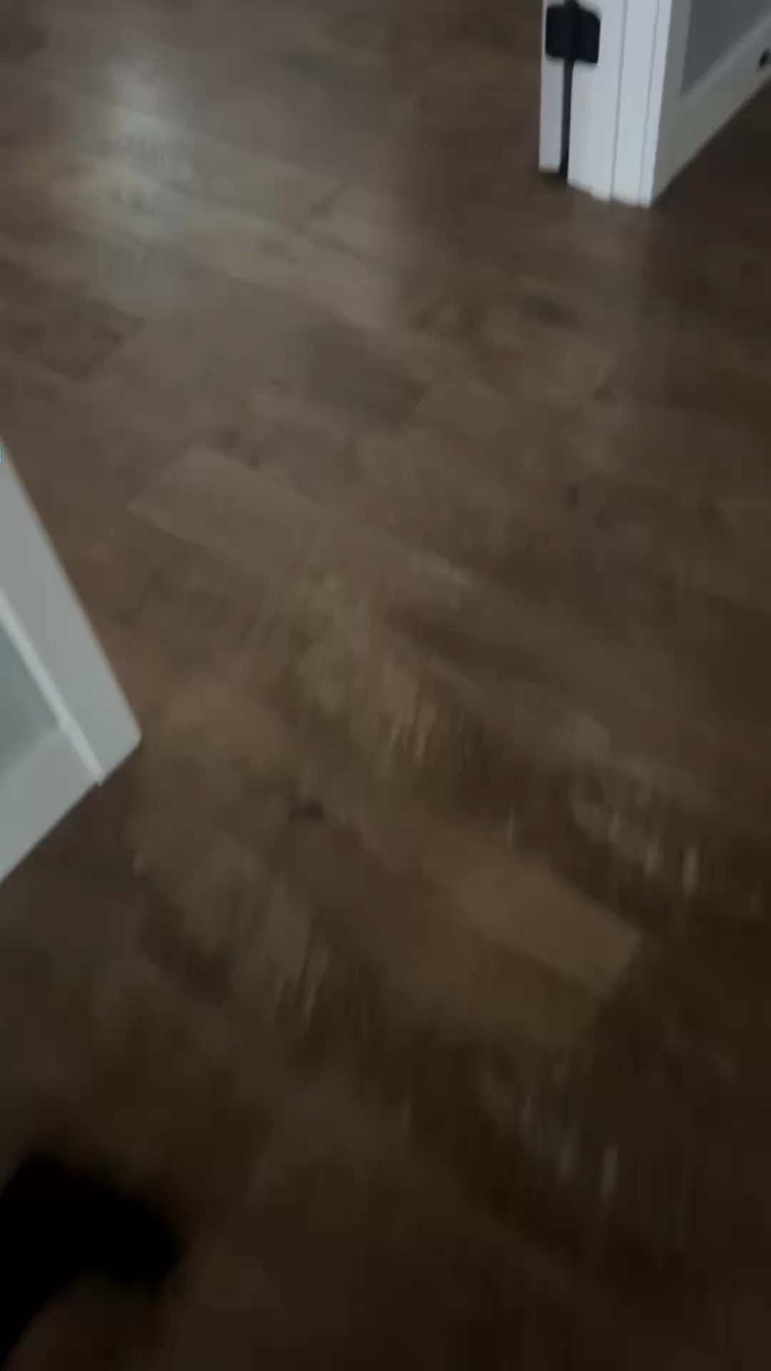 Home Office Essentials for Staying Organized & Productive

A well-designed workspace can make all the difference. These are some of the favorite home office essentials that help keep the day organized, focused, and balanced.

• Plum Paper planner – perfect for organizing schedules, content ideas, and daily to-dos
• Devotional – a simple way to start the morning with intention
• Standing desk – great for switching between sitting and standing throughout the day
• Walking/vibration pad – an easy way to stay active while working

Whether working from home, planning content, or managing a busy schedule, these pieces help create a workspace that is both productive and calming.

Everything is linked here for easy access.

#LTKHome #LTKdayinmylife #LTKmorningroutine