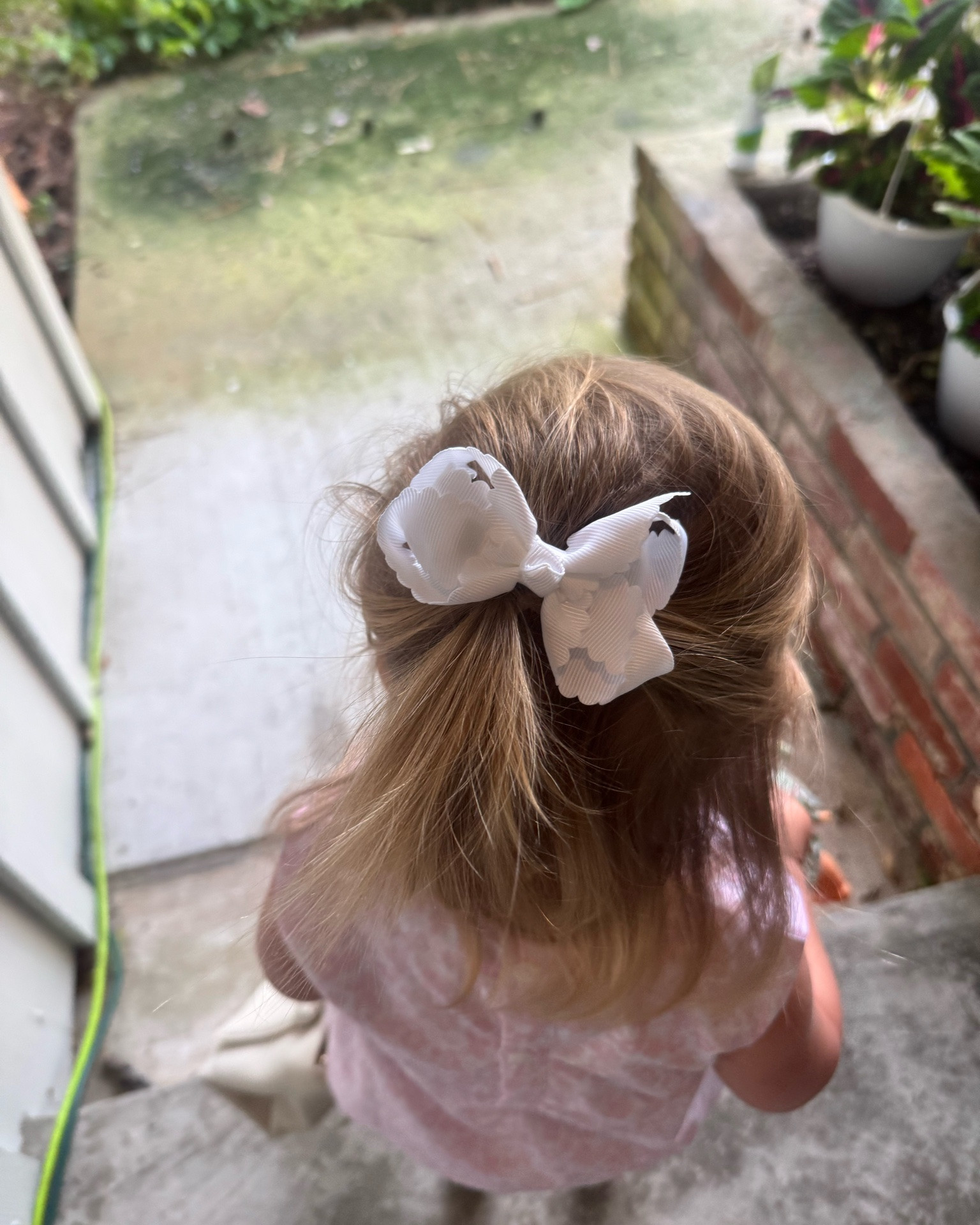 Scallop bows pack of 2 under $10!

#LTKmomlife #LTKKids