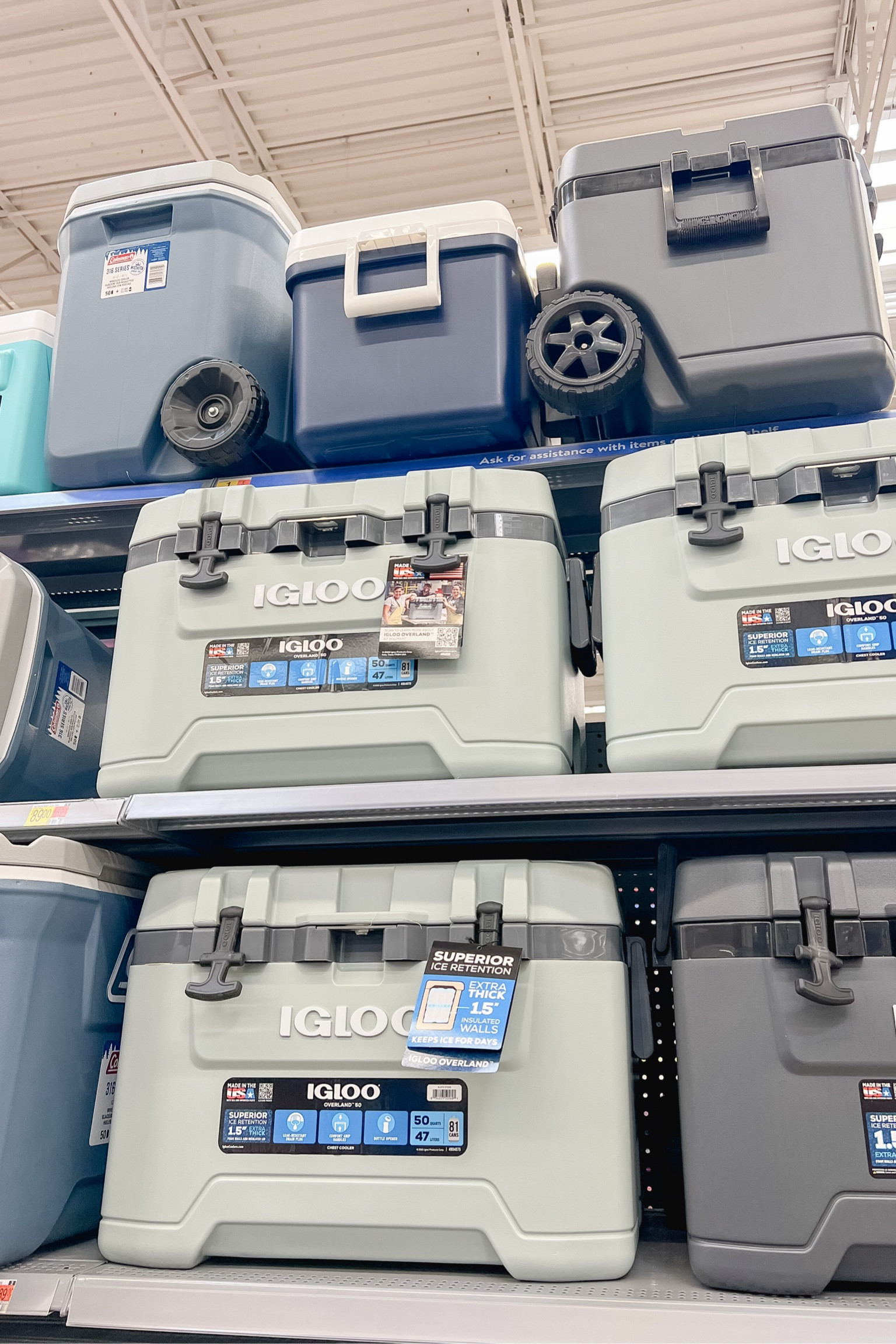 Igloo at Walmart - this color and style is 😍

#LTKHome #LTKParties #LTKSwim