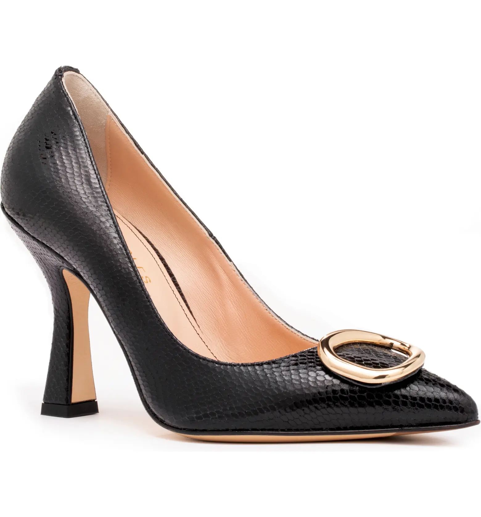 Lory Pointed Toe Pump (Women) | Nordstrom