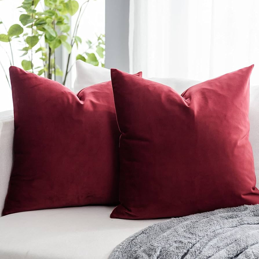 Red Wine Couch Velvet Throw Pillow Covers 22x22 inch Set of 2 with Zipper Decorative Luxury Soft ... | Amazon (US)