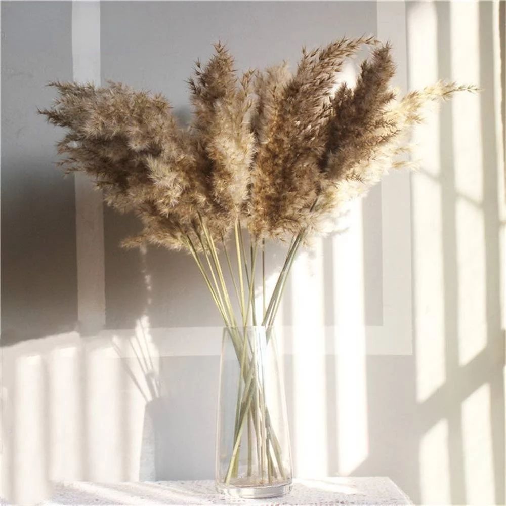 SREED Pack Of 20 Raw Color Dried Pampas Grass Bouquet Fluffy Reed Wedding Decor Dried Flower Natu... | Walmart (US)