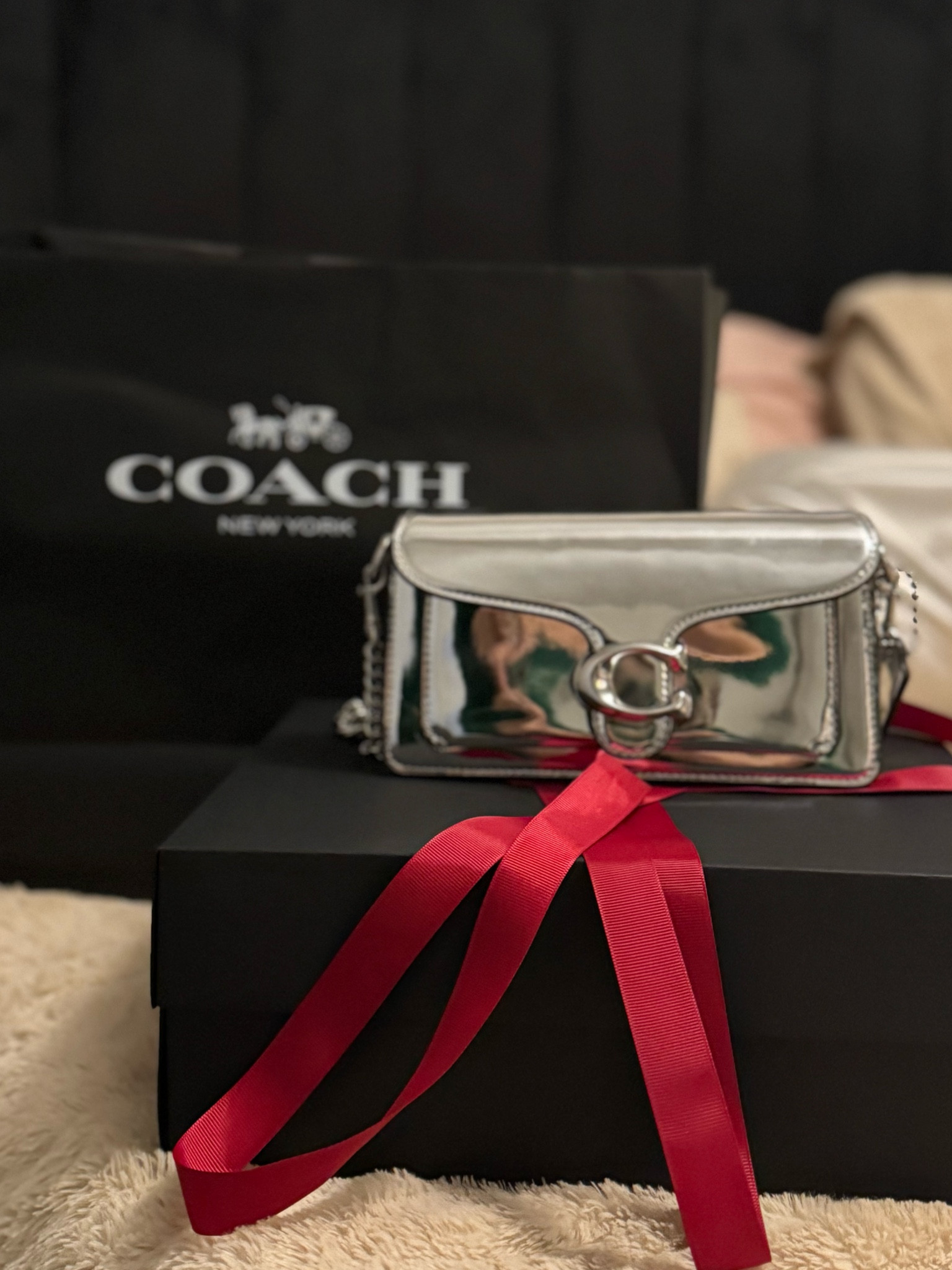 My new favorite purse! 
👛 the cherry on top of any look 🩶

#LTKItBag #LTKGiftGuide