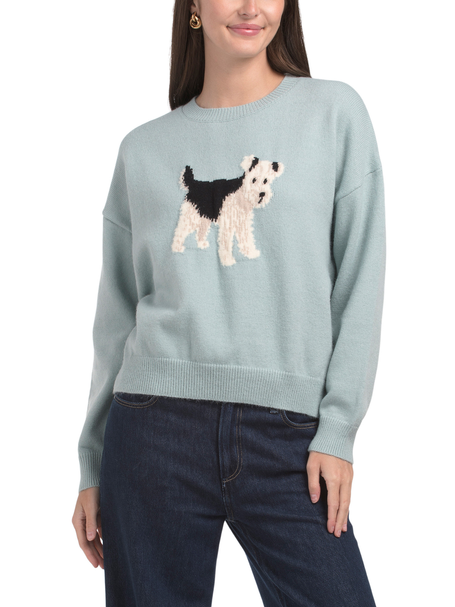 Dog Sweater | TJ Maxx