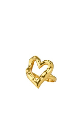 Amour Ring
                    
                    AUREUM | Revolve Clothing (Global)