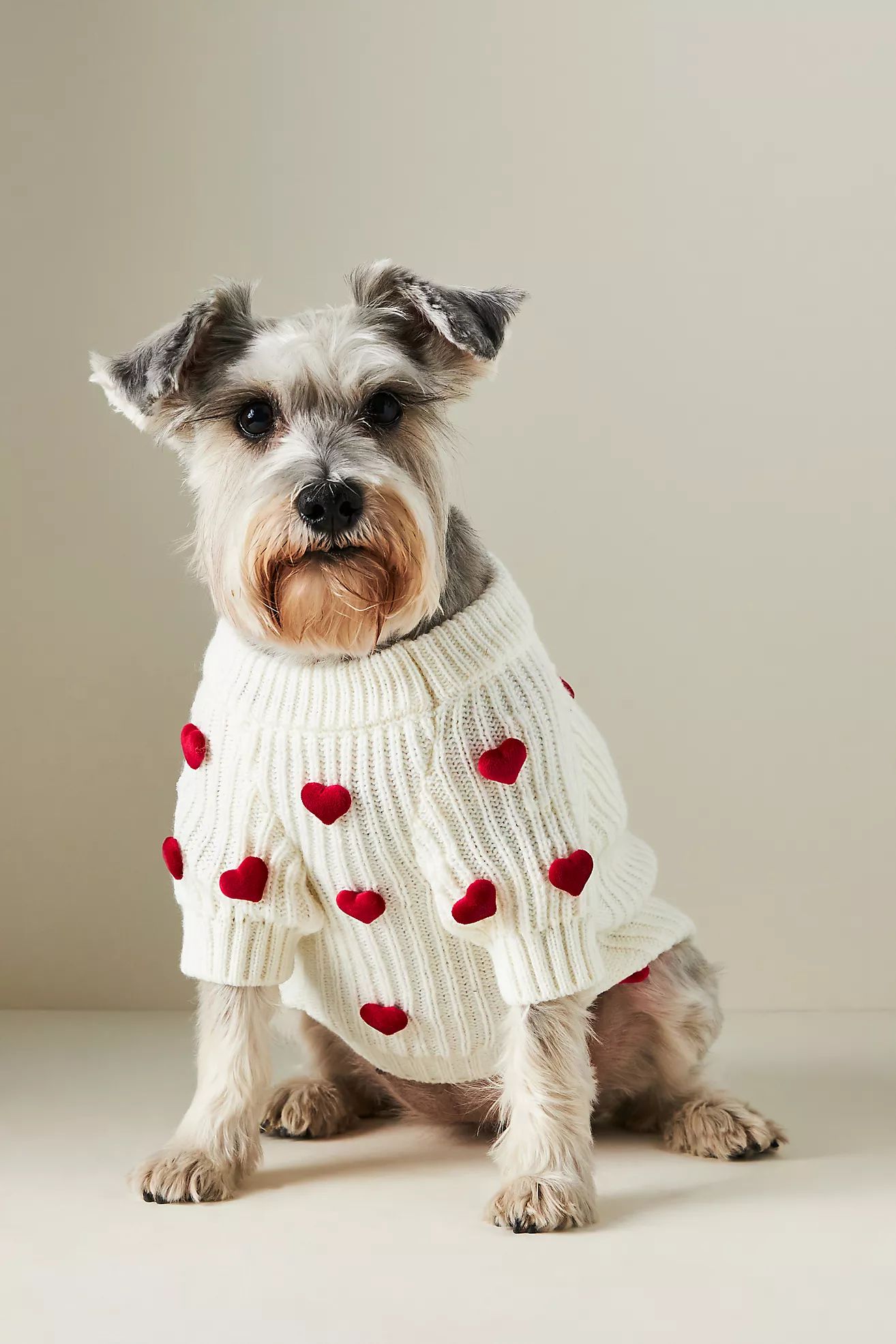 Found My Animal x Anthropologie 3D Heart Dog Sweater | Anthropologie (US)
