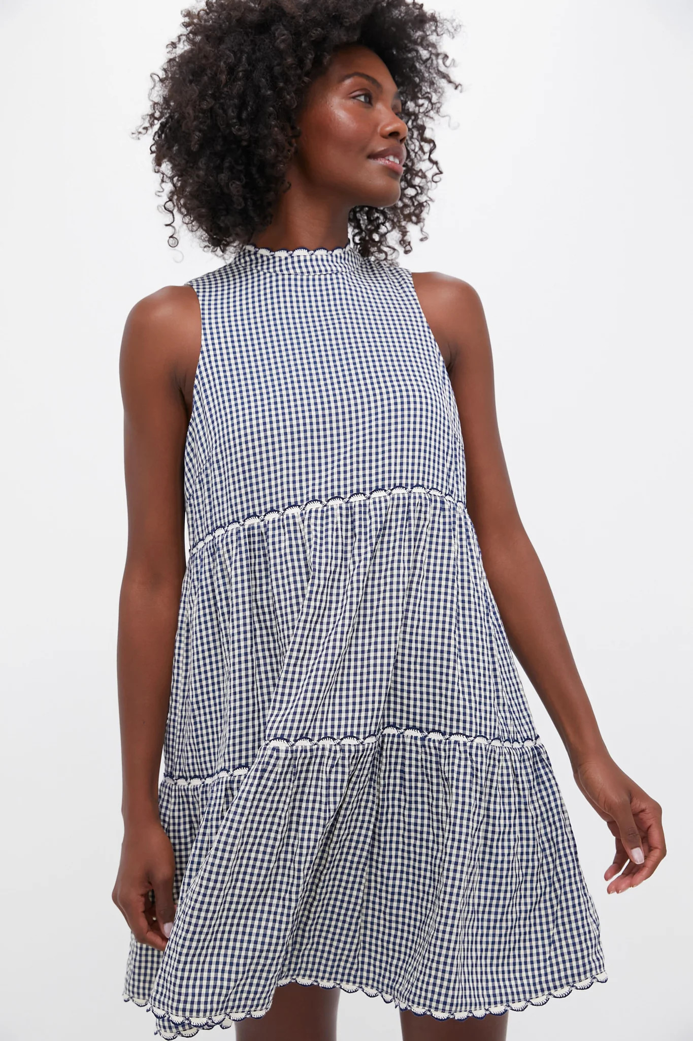 Navy Gingham Morgan Dress | Tuckernuck (US)