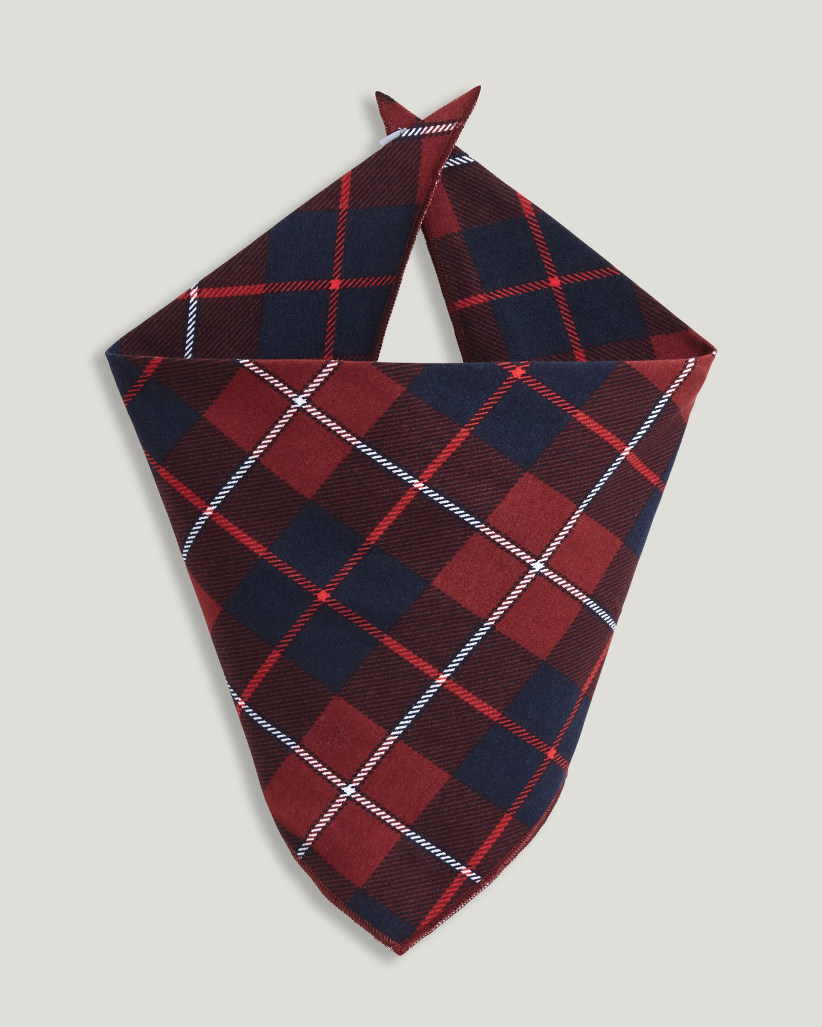 Fam Jams Pet Bandana | Jockey