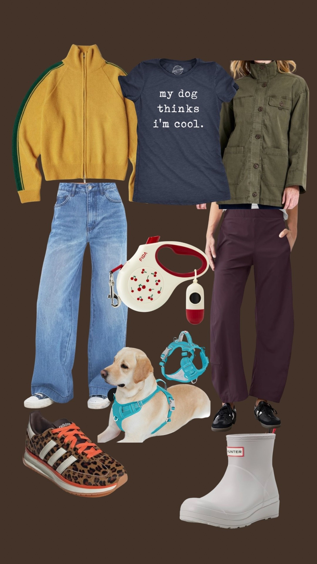 Dog walking styles