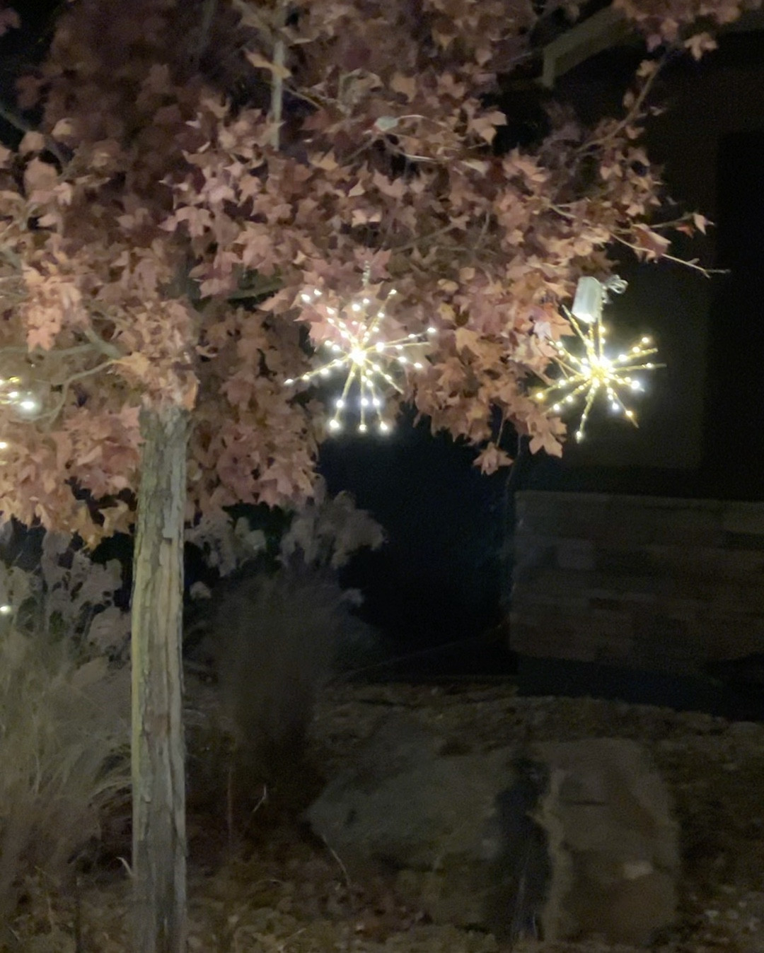 The prettiest twinkling starburst lights for indoor or outdoor. And such an easy install you can do on your own! 

#LTKHoliday #LTKSeasonal #LTKSaleAlert