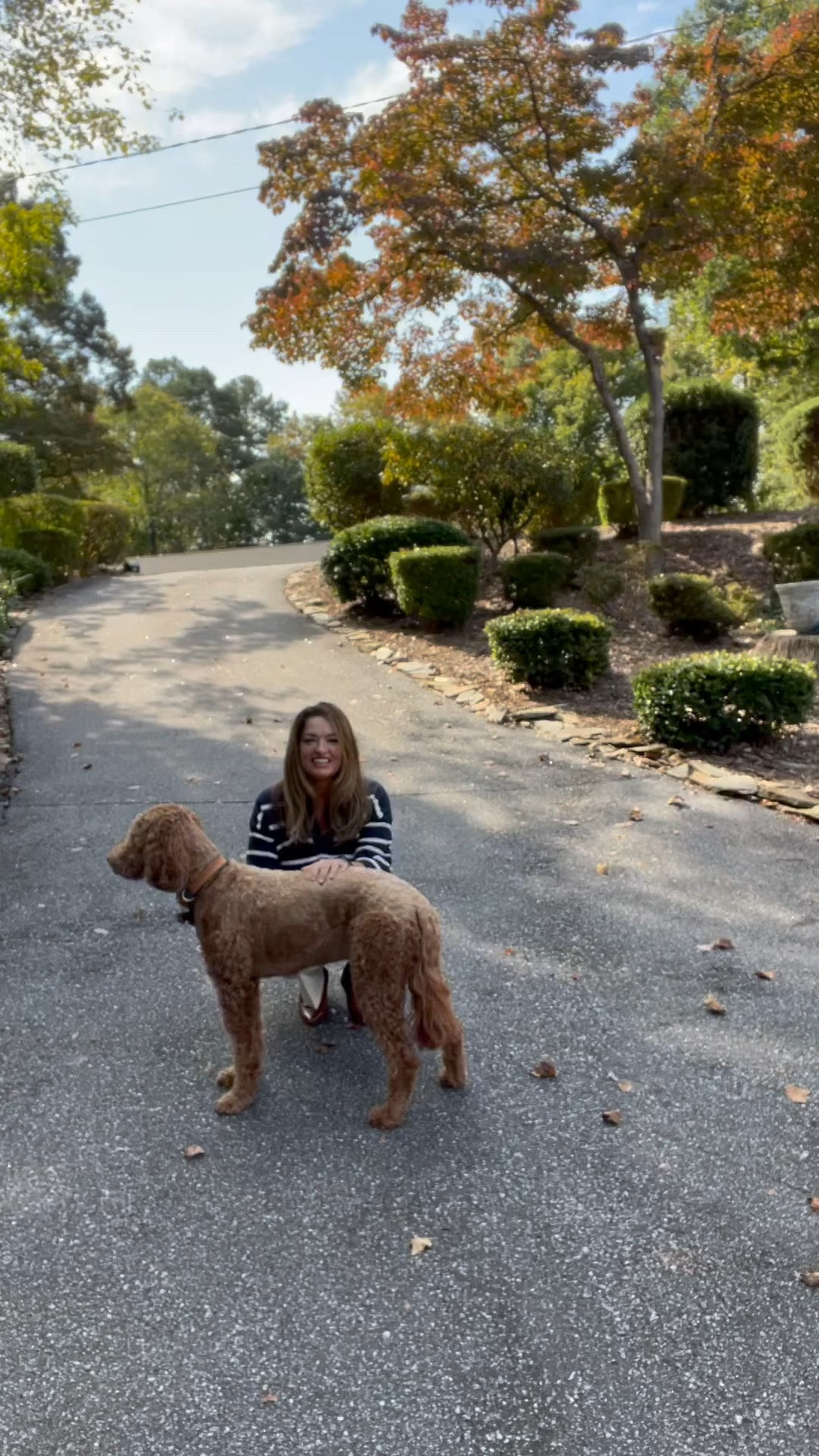 Having fun with Sadie!

The striped sweater is a timeless classic and it is so on trend this season ( very Parisian) .. I have linked several.

I love it with winter white cropped pants and cognac accessories.

Clutch: @toryburch
Booties: @stevemadden

#LTKshoecrush #LTKSeasonal #LTKstyletip