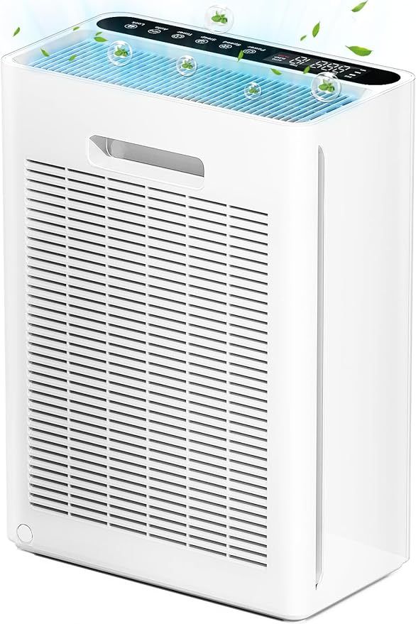 Air Purifiers for Home Large Room up to 1740ft², CADR 400m³/h+, H13 HEPA Air Filter for Pets Ha... | Amazon (US)