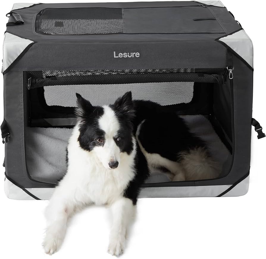 See 2 not featured or unavailable options | Amazon (US)