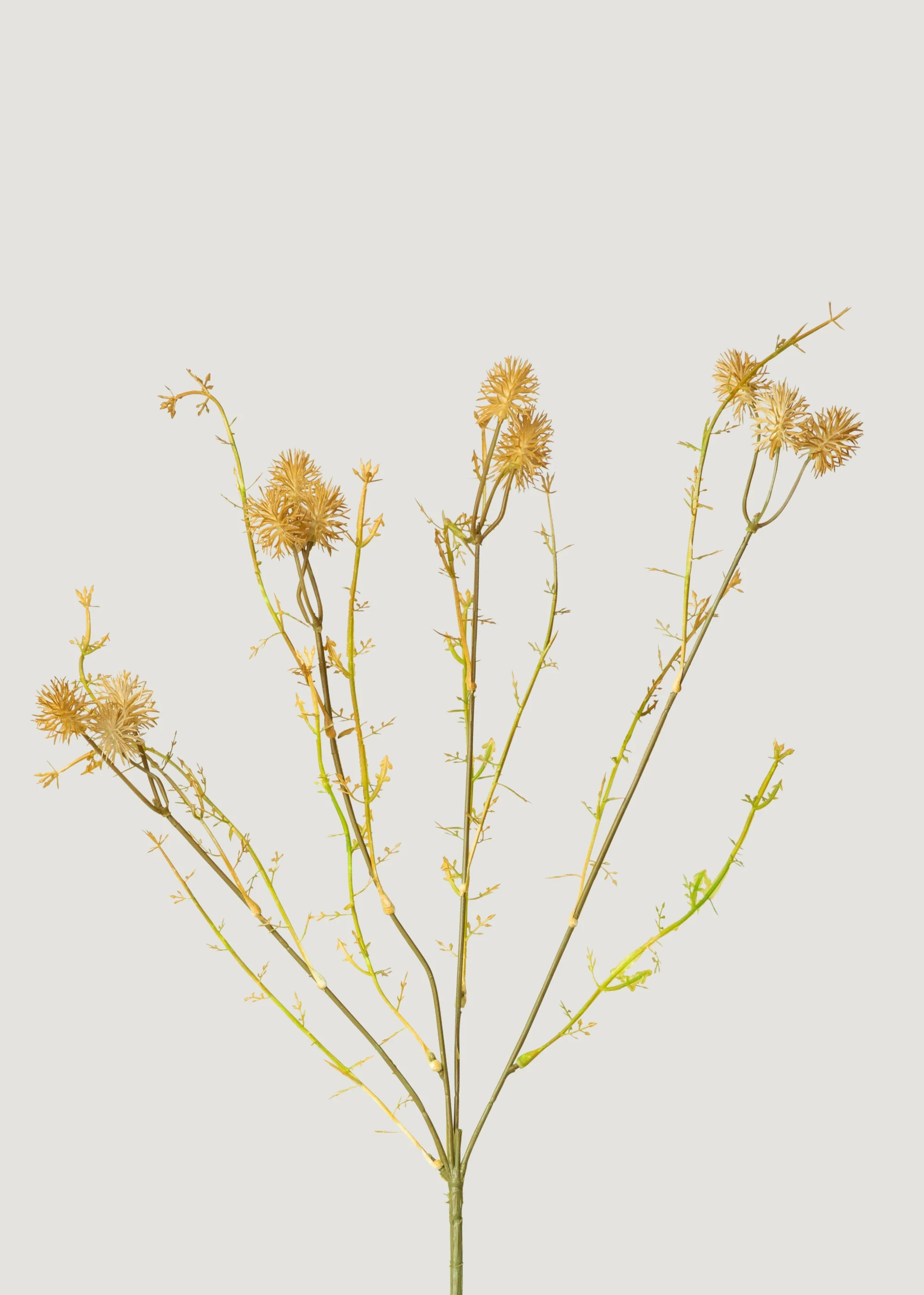 Meadow Pom Pom Flowers in Yellow | Artificial Wildflowers | Afloral | Afloral