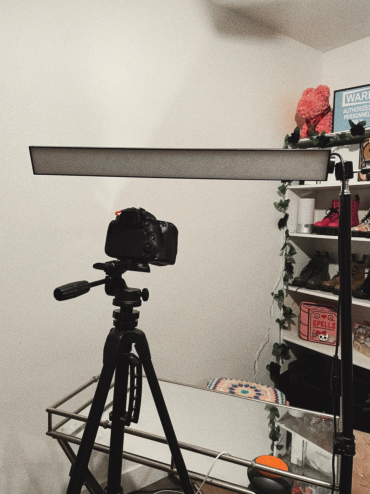 My favorite film lights 🖤