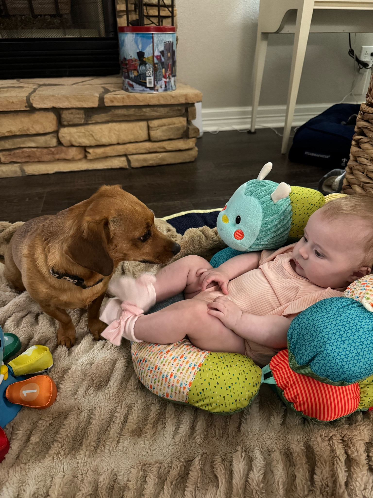 Bentlee’s caterpillar chair has been amazing! It unfolds for tummy time too! Best baby chair. 

#LTKGiftGuide #LTKKids #LTKBaby