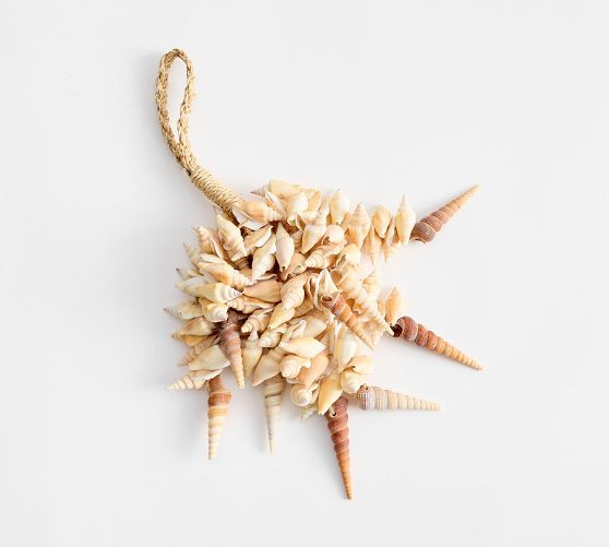 Cream Seashell Rope Object | Pottery Barn (US)