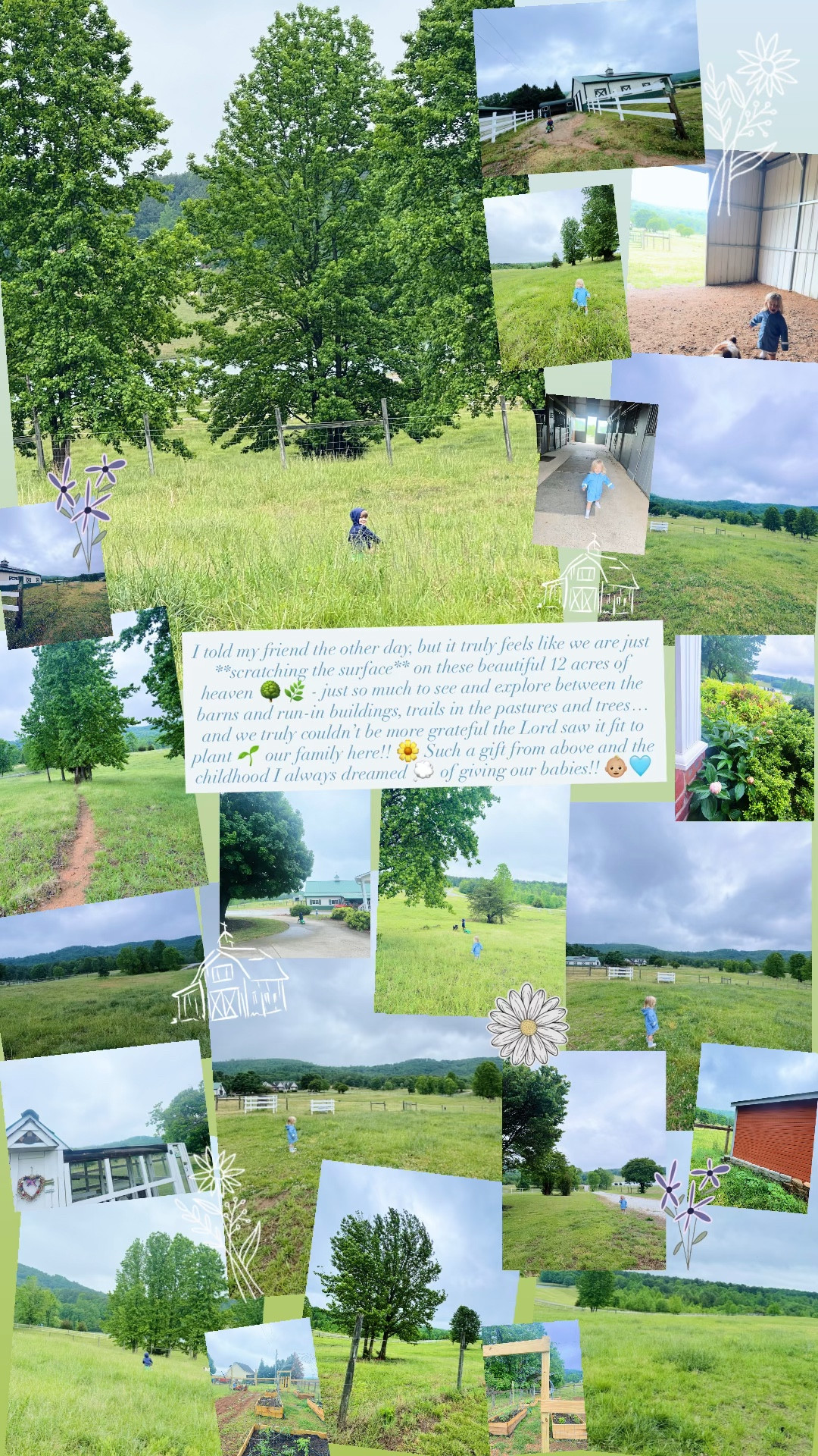 I told my friend the other day, but it truly feels like we are just **scratching the surface** on these beautiful 12 acres of heaven 🌳🌿 - just so much to see and explore between the barns and run-in buildings, trails in the pastures and trees… and we truly couldn’t be more grateful the Lord saw it fit to plant 🌱 our family here!! 🌼 Such a gift from above and the childhood I always dreamed 💭 of giving our babies!! 👶🏼🩵