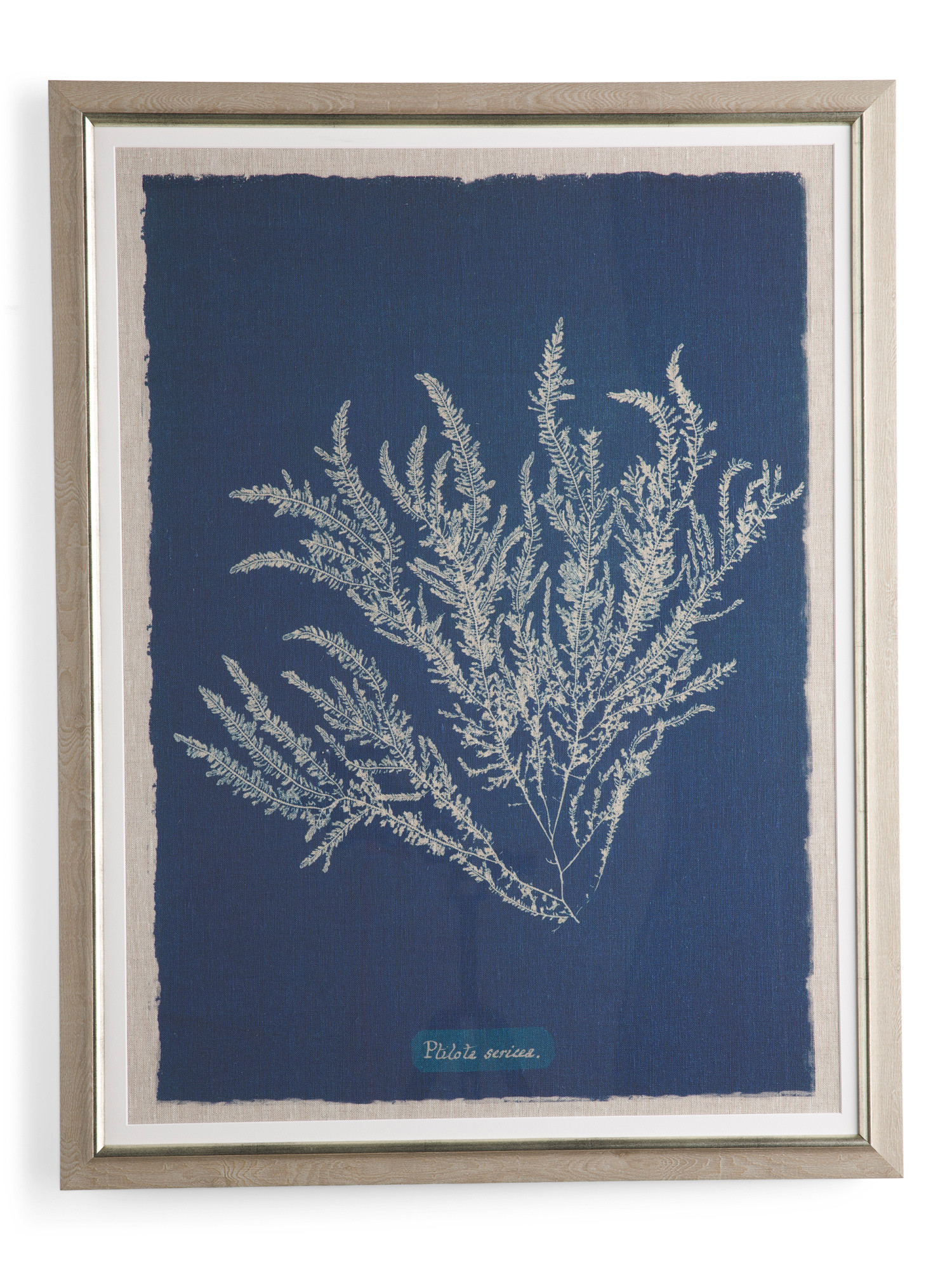 24x32in Indigo Corals Framed Wall Art | TJ Maxx
