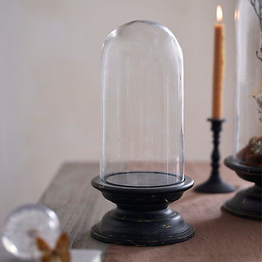 Glass Cloche with Distressed Wood Pedestal Base | Terrain