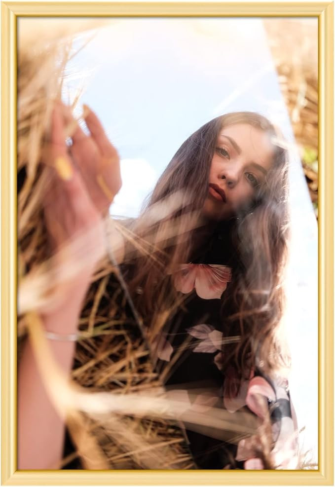 24x36 Poster Frame - Single Frame, Sleek and Modern Gold Poster Frames 24 x 36 Inches, 24x36 Fram... | Amazon (US)