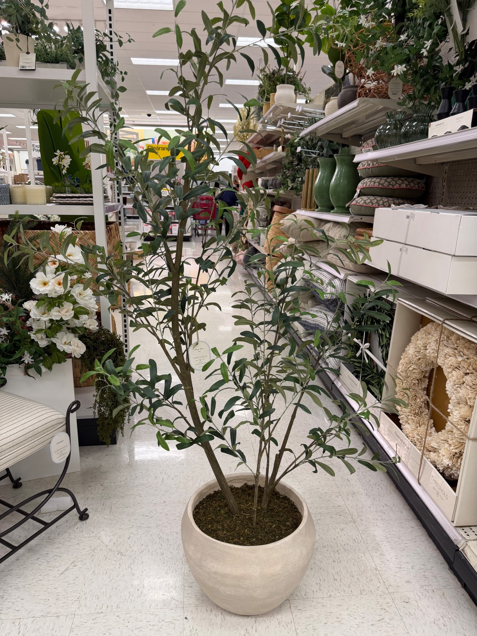 New Target find with raving reviews: the Threshold x Studio McGee Asymmetrical Olive Tree. So many people are saying it looks shockingly real for the price, and I totally get why—the branches have that perfectly imperfect, organic shape (not stiff or overly symmetrical), and the leaves look full without screaming “fake.”

It’s an easy way to make a living room corner, entryway, bedroom, or office feel instantly more elevated and finished. If you’ve been on the hunt for an affordable faux olive tree with actually great reviews, this is the one. The planter alone is stunning and looks so expensive! 

#LTKSaleAlert #LTKHome #LTKSeasonal