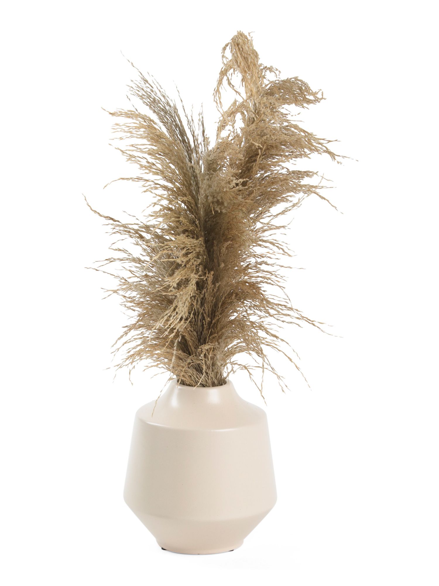 Pampas Grass In Glaze Lined Vase | TJ Maxx