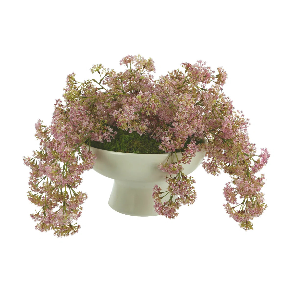 Organic Modern Weeping Laurel Arrangement | Wayfair North America