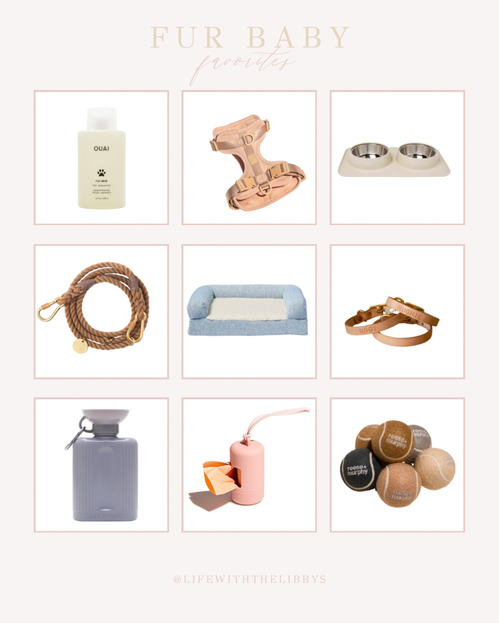 Aesthetic accessories for your fur baby 🐾