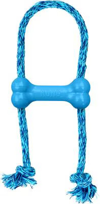 KONG Puppy Goodie Bone with Rope Dog Toy, X-Small, Blue | Chewy