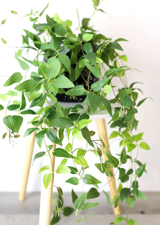 Artificial Plants Hanging Tradescantia Houseplant - 41 | Afloral (US)