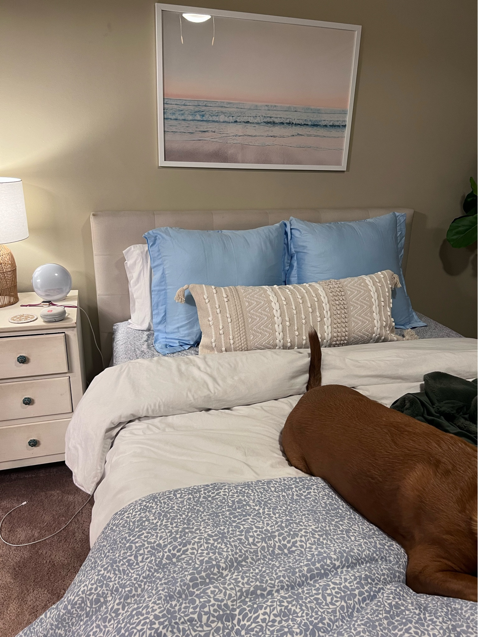 Bedroom refresh 

#LTKfindsunder100 #LTKhome #LTKSeasonal