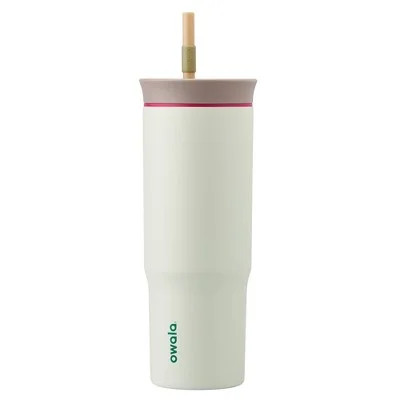 Owala 24oz Stainless Steel Straw Tumbler - Alpine Sport | Walmart (US)