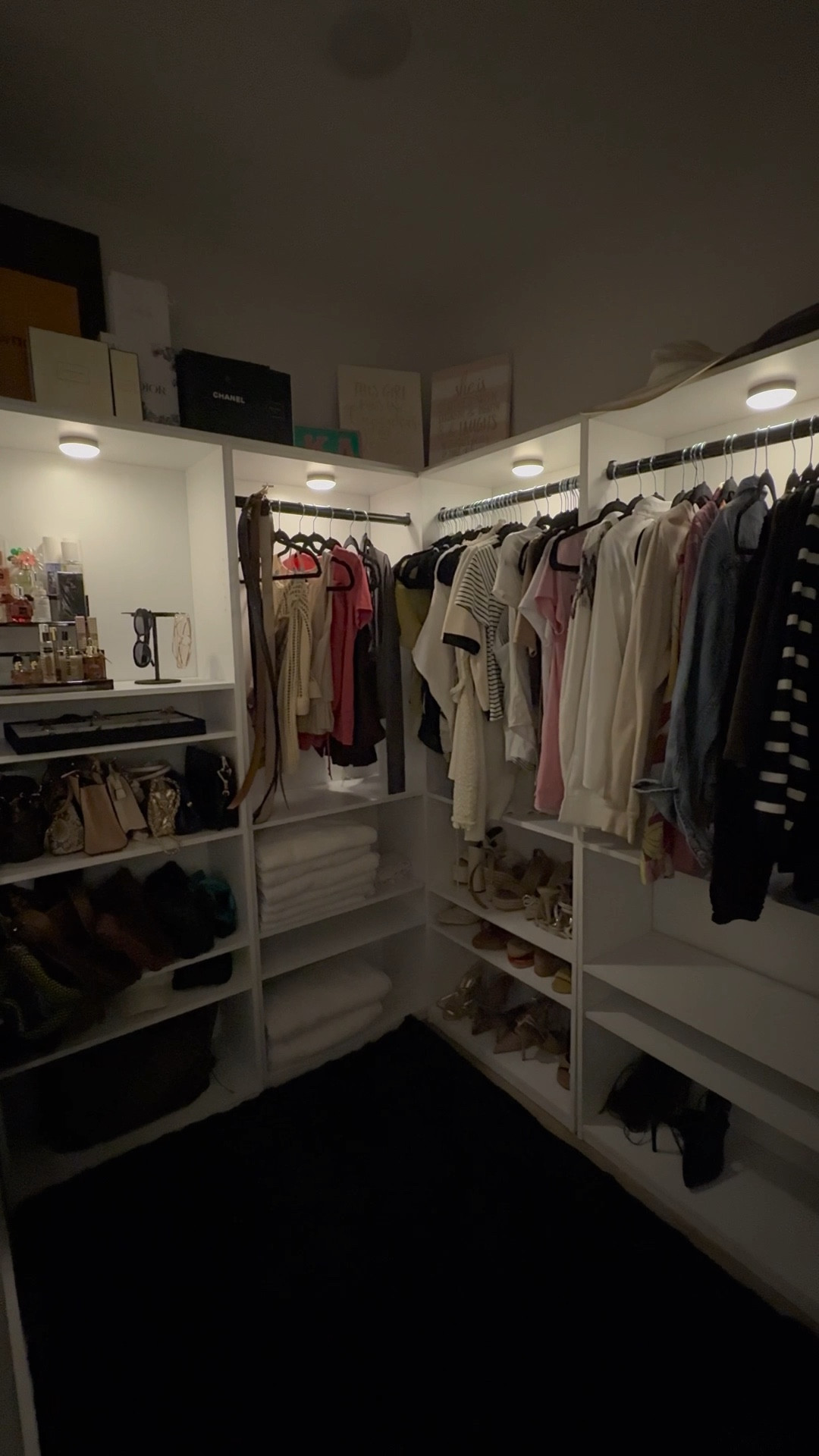 Elevating my rental experience by elevating my closet and adding touches to it! Love these little details that added to it to make it more homey and personal! If doing too much was a person lol. 

Amazon lights, Amazon finds, found on Amazon, bookshelf closet, bookshelves in closet 

#LTKmomlife #LTKSaleAlert #LTKHome