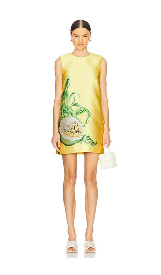 Sol Mini Dress in Lemon | Revolve Clothing (Global)