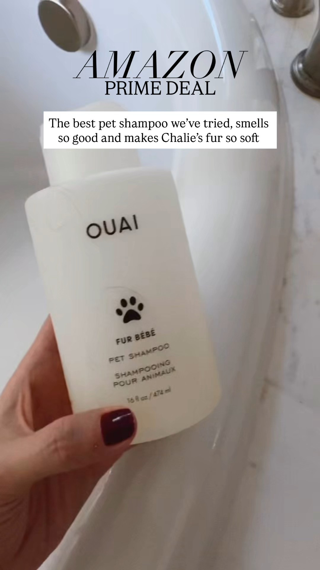 Amazon Prime Deal - the best pet shampoo we’ve tried, smells like luxury spa and makes Charlie’s fur so soft 

@amazon #ad #founditonamazon

#LTKPets #LTKU #LTKSaleAlert