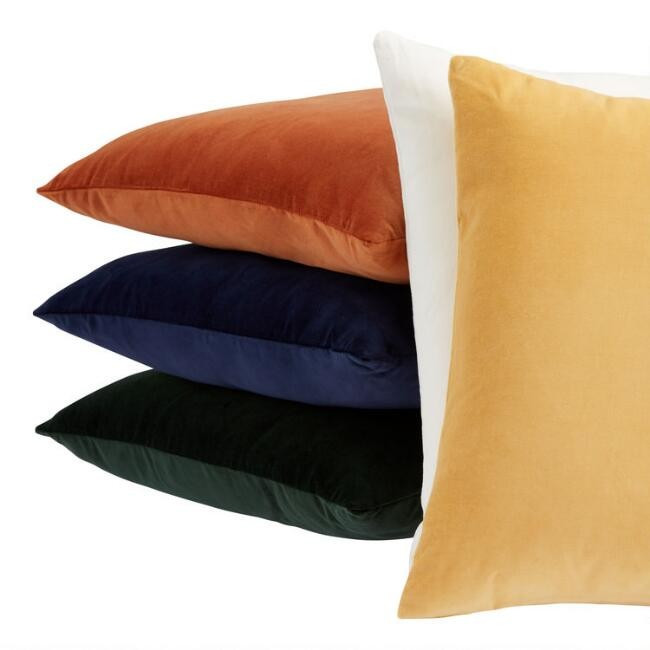 Velvet Throw Pillow | World Market