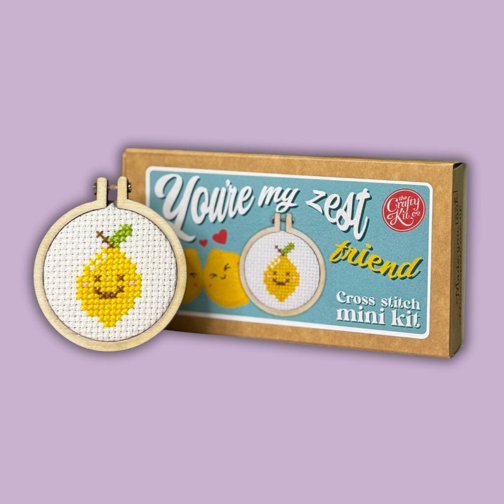 You're My Zest Friend Mini Cross Stitch Kit | Not On The High Street