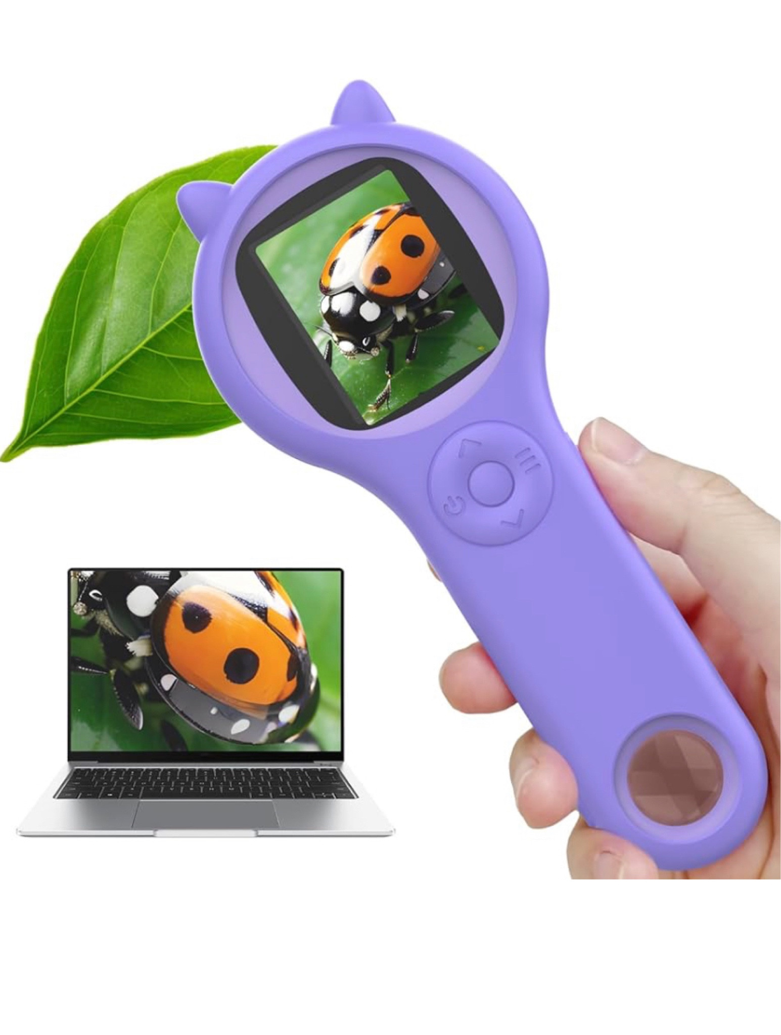 #LTKFindsUnder50 #LTKHome