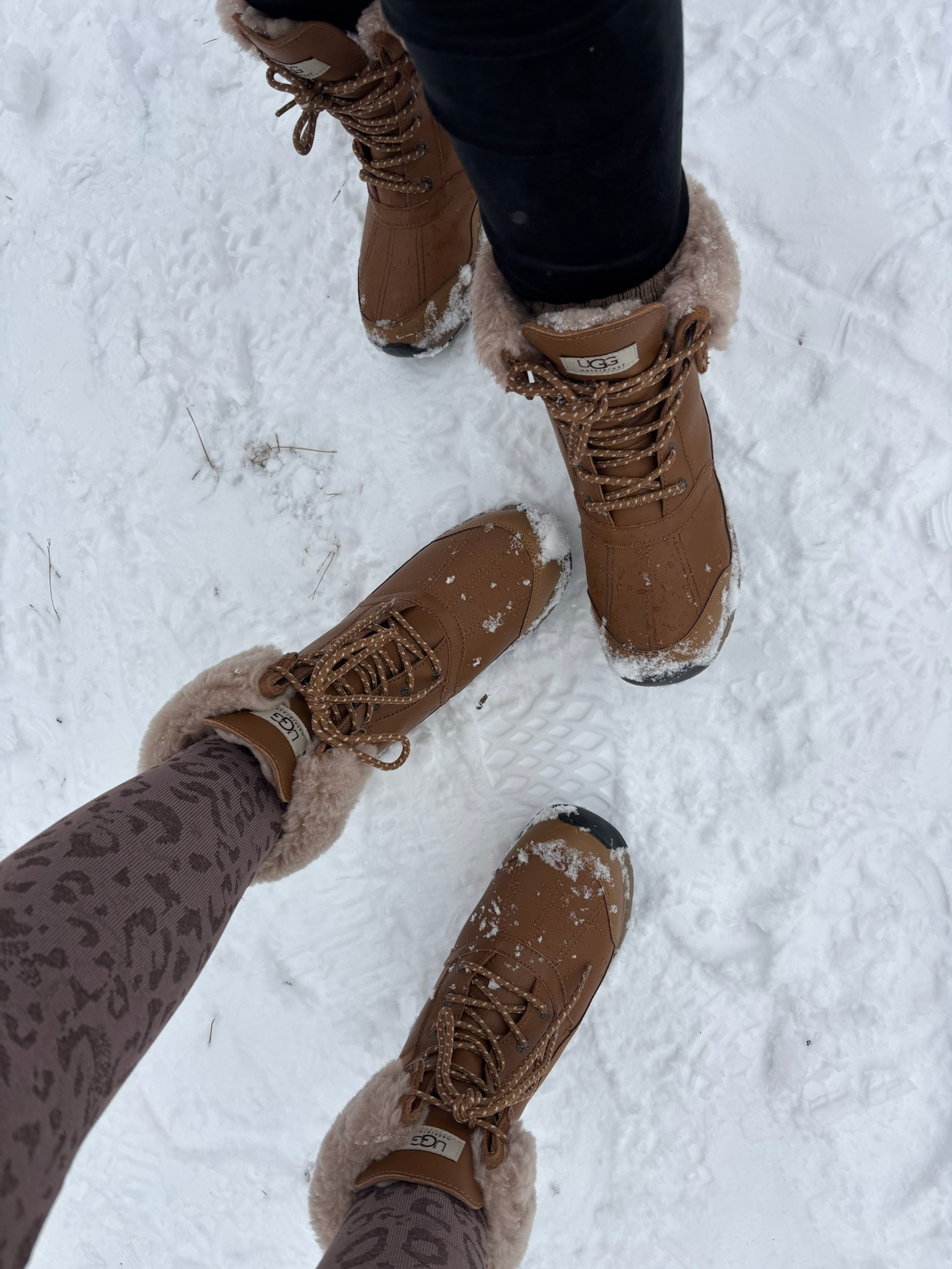 These UGG boots are sooo cozy and look so cute! 

 #LTKSeasonal