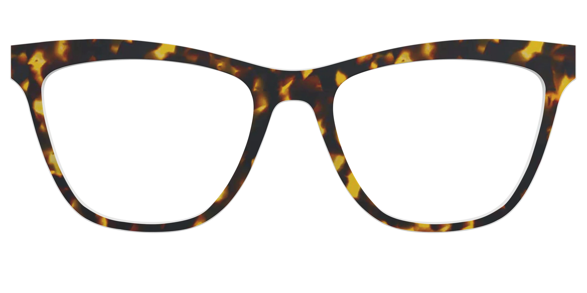 The Tortoise | Pair Eyewear