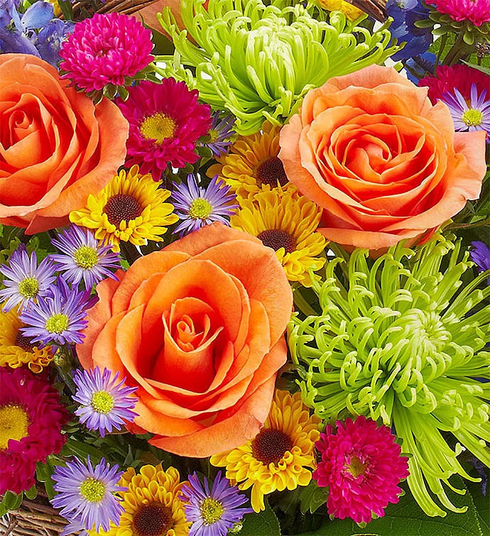 1-800-Flowers Flower Delivery Bloom Of The Month Club 6 Months | 1800flowers.com